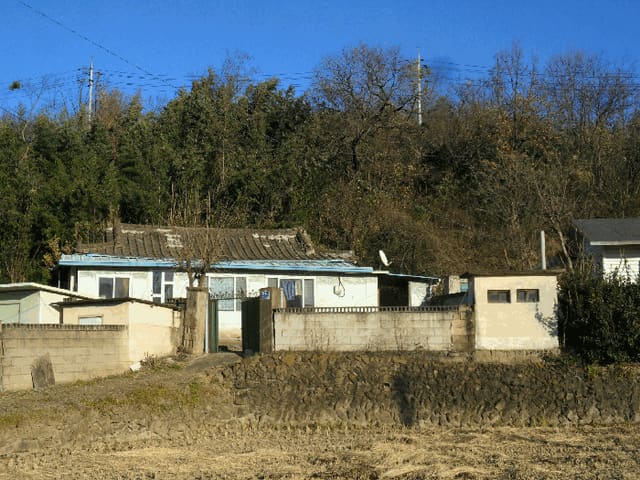 B000312202501300107924.jpg