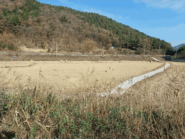 B000312202501300107984.jpg