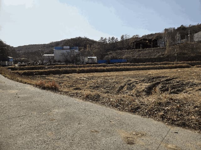 B000312202501300107994.jpg