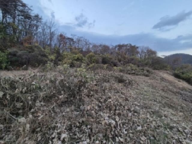 B000312202501300108152.jpg