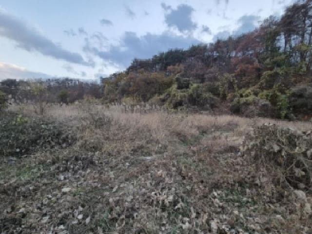 B000312202501300108151.jpg