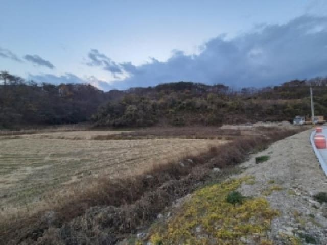 B000312202501300108154.jpg