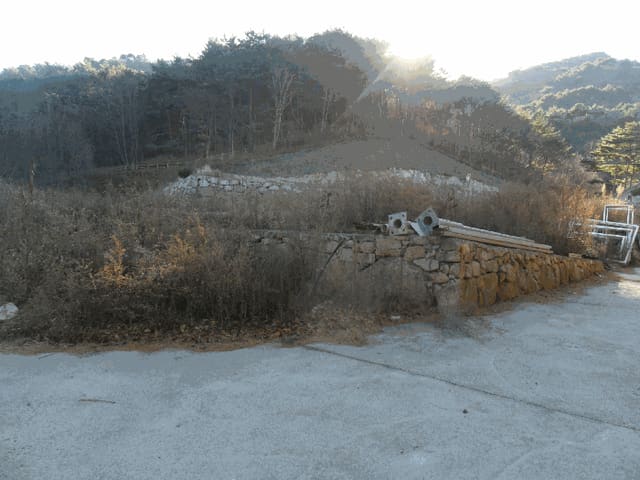 B000312202501300108174.jpg