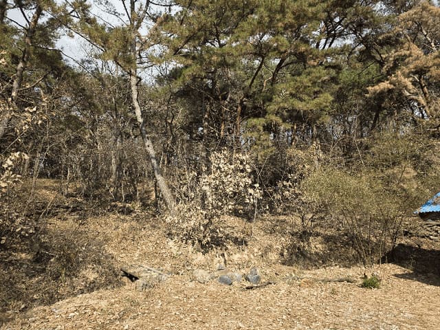 B000312202501300108344.jpg