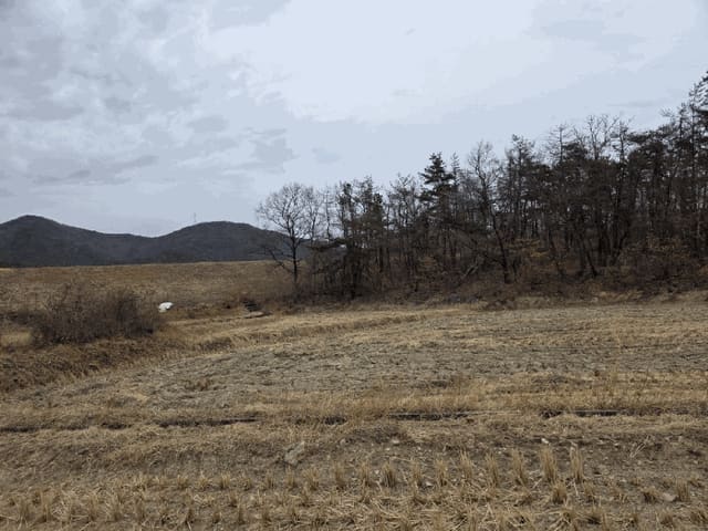 B000312202601300000331.jpg