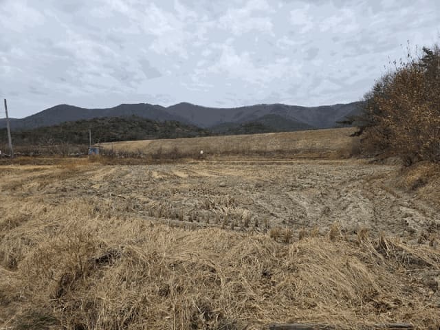 B000312202601300000332.jpg