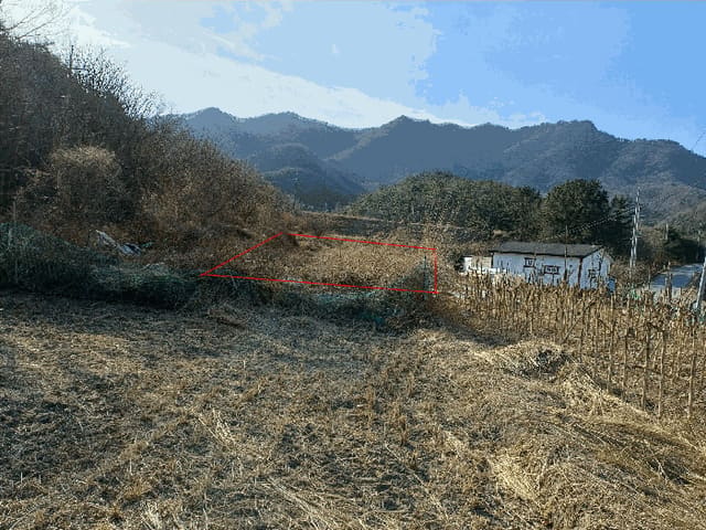 B000312202601300100163.jpg