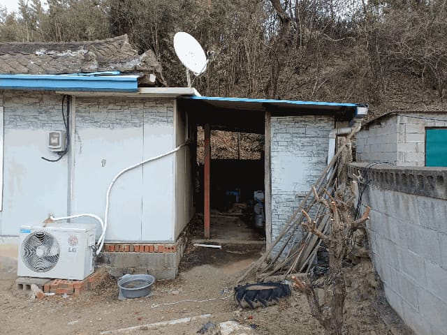 B000312202601300100346.jpg