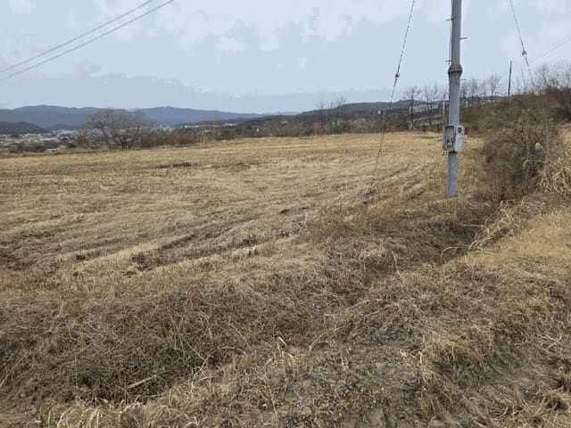 B000312202601300100783.jpg