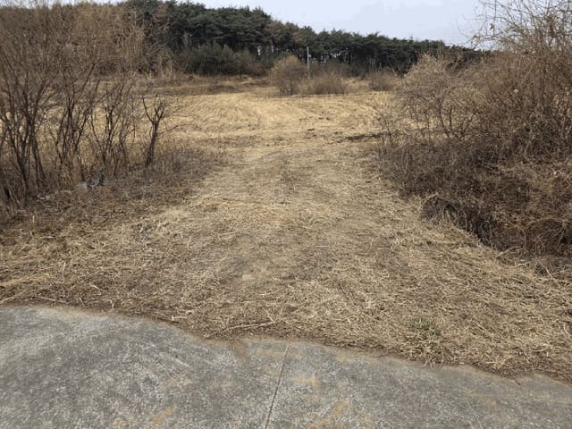 B000312202601300100784.jpg