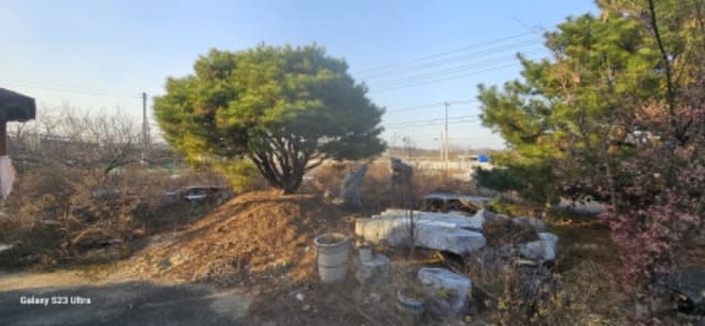 B000313202401300032364.jpg