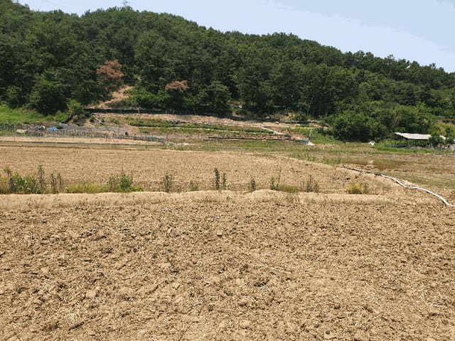 B000313202501300003444.jpg