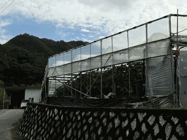 B000313202501300003756.jpg