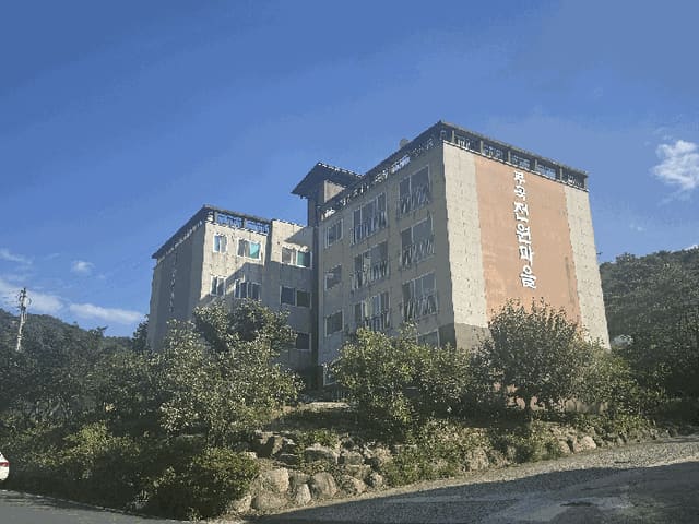 B000313202501300003953.jpg