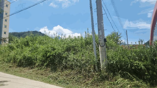 B000313202501300004214.jpg