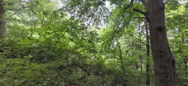 B000313202501300004244.jpg