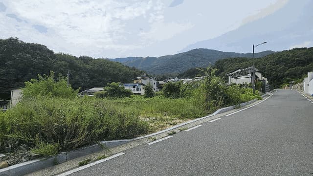 B000313202501300004314.jpg