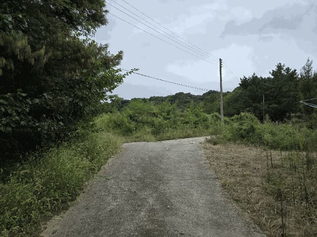 B000313202501300004824.jpg