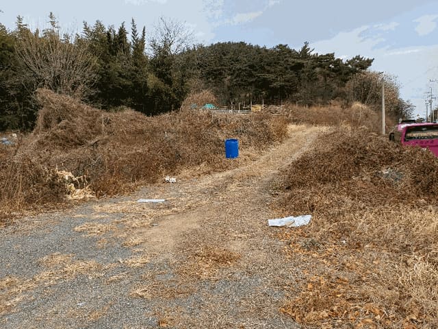B000313202501300108145.jpg