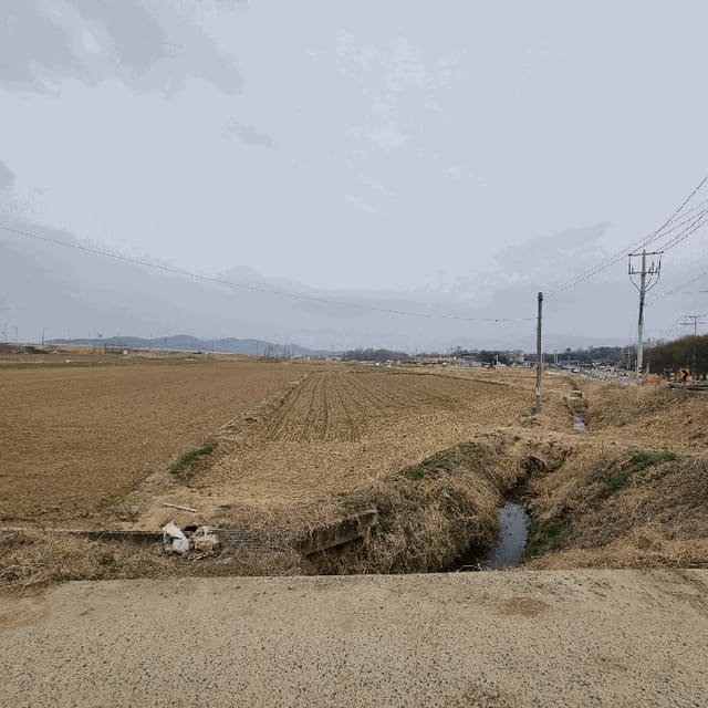 B000313202501300108884.jpg