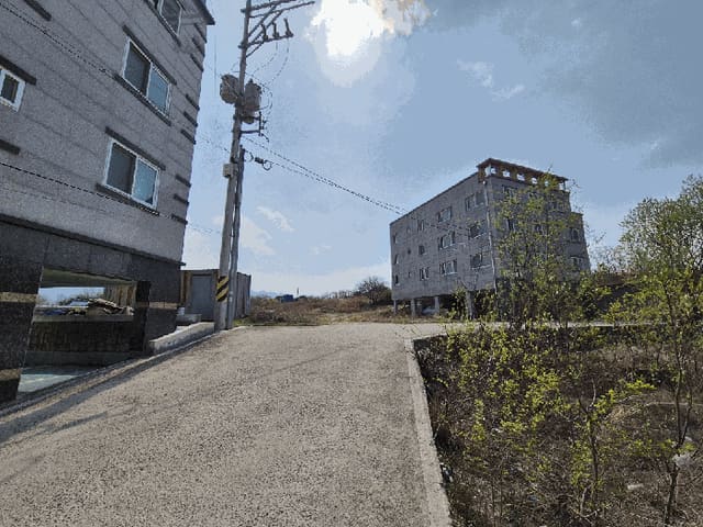 B000313202501300109134.jpg