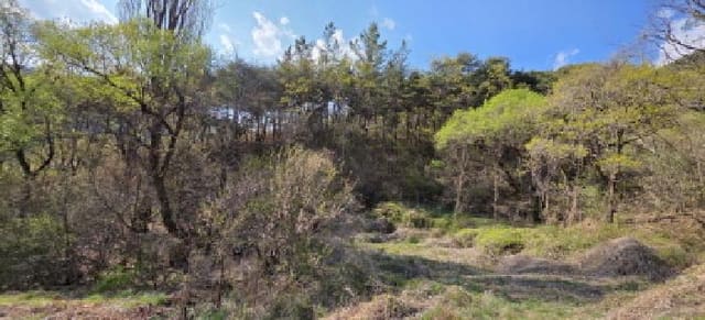 B000313202501300109433.jpg