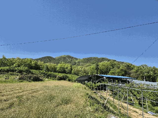 B000313202501300109744.jpg