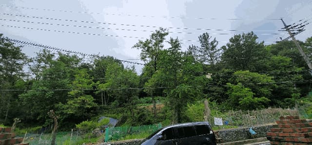 B000313202501300109984.jpg