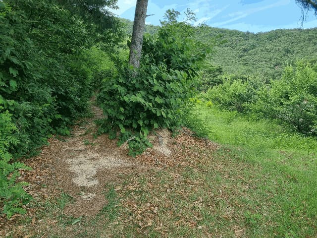B000313202501300110245.jpg
