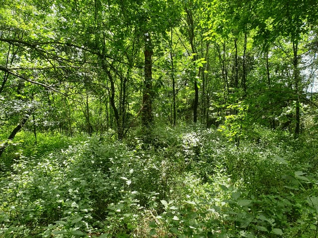 B000313202501300111214.jpg