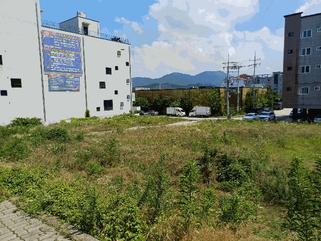 B000313202501300111433.jpg