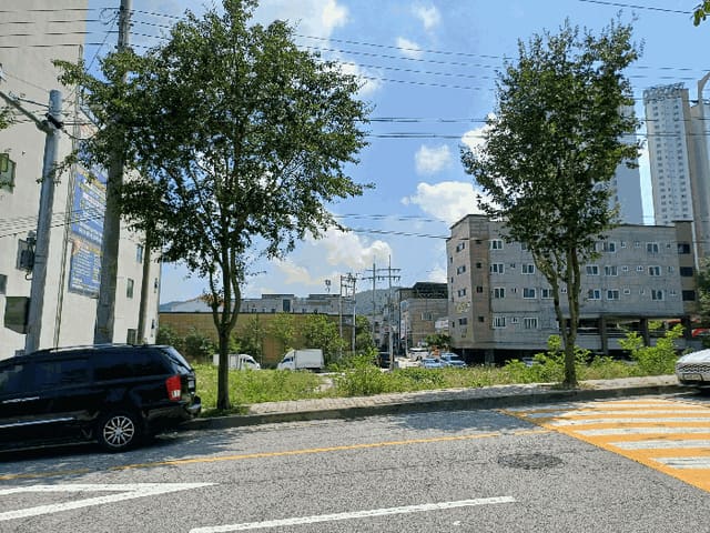 B000313202501300111434.jpg