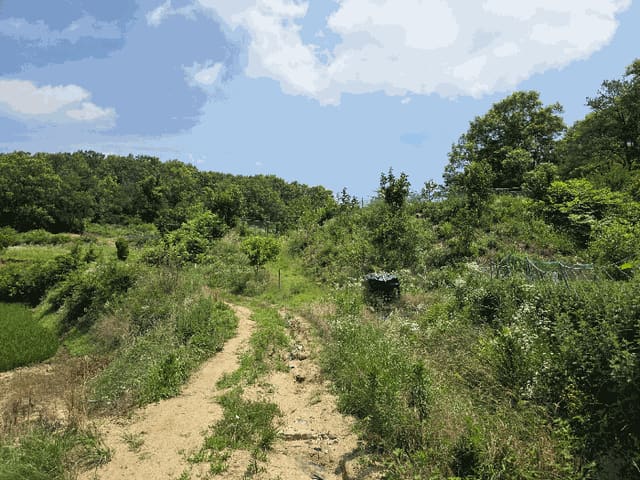 B000313202501300111754.jpg