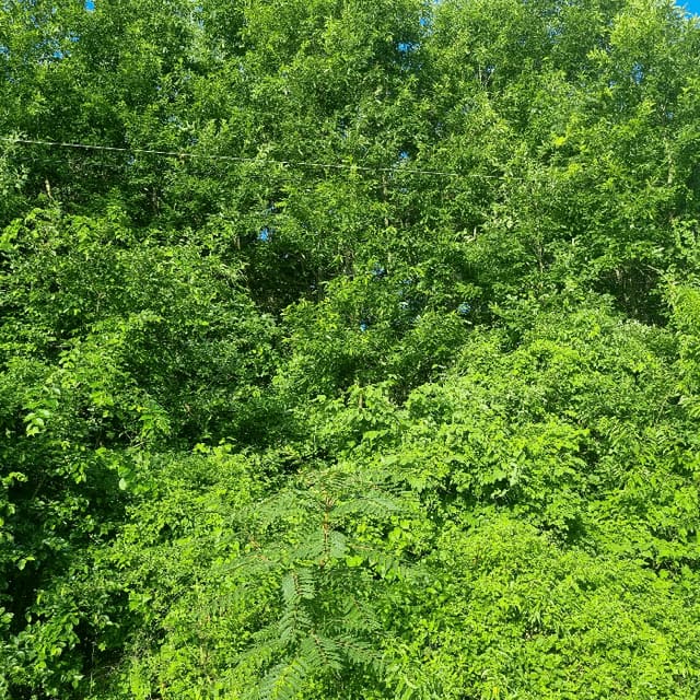 B000313202501300112064.jpg
