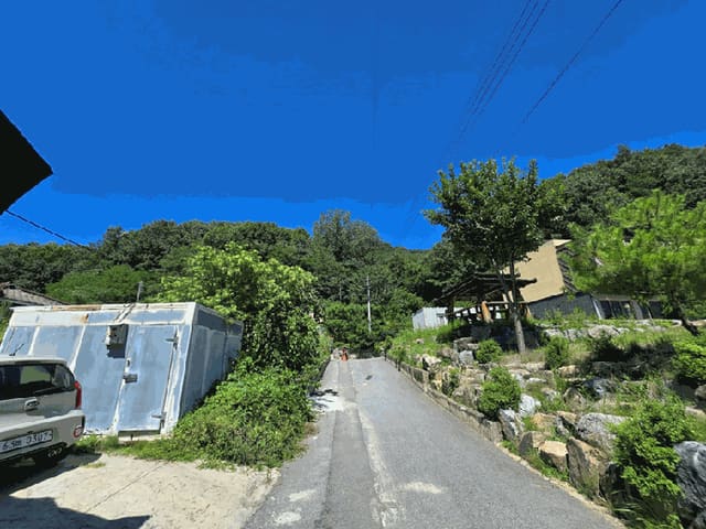 B000313202501300112284.jpg