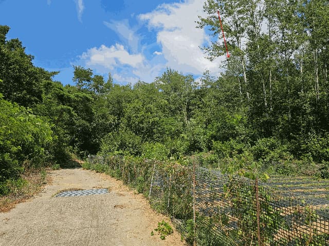 B000313202501300112444.jpg