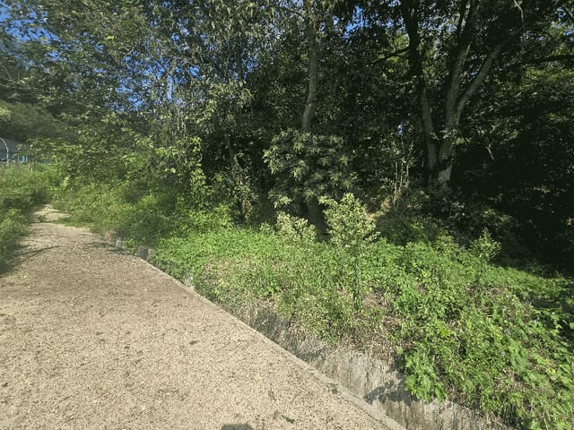 B000313202501300112504.jpg