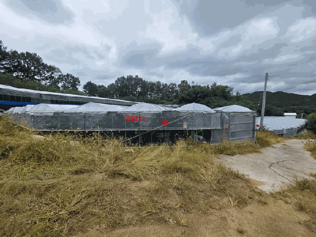 B000313202501300112586.jpg