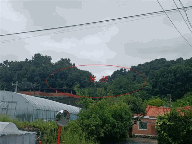 B000313202501300113494.jpg