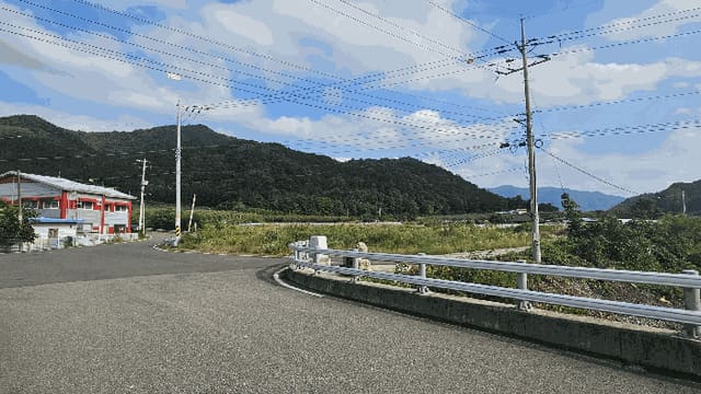 B000313202501300113824.jpg