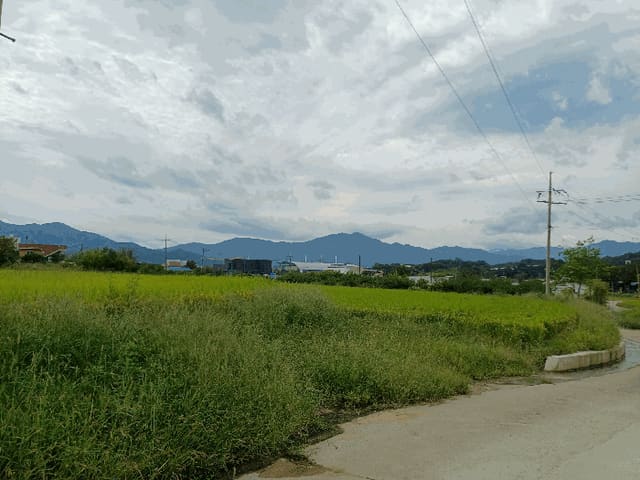 B000313202501300113884.jpg