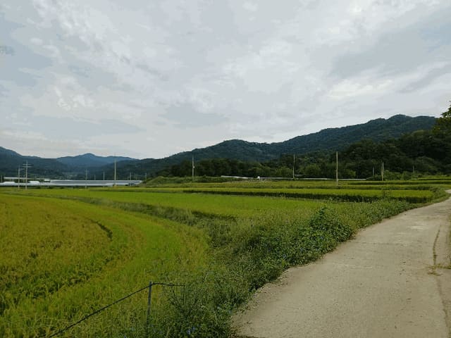 B000313202501300113883.jpg