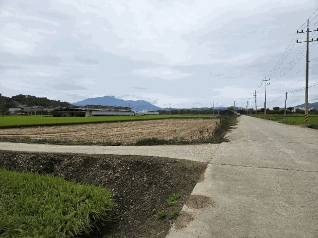 B000313202501300114144.jpg