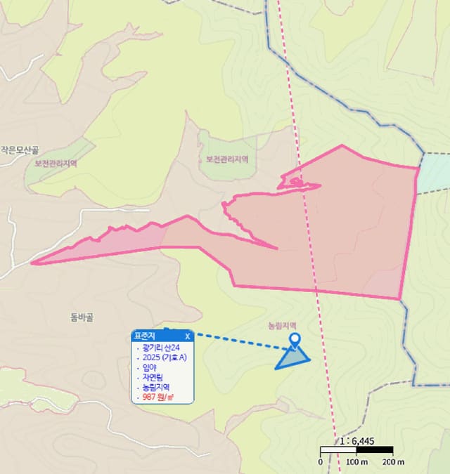 B000313202501300114622.jpg