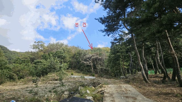 B000313202501300114834.jpg
