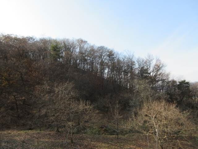 B000314202401300019811.jpg