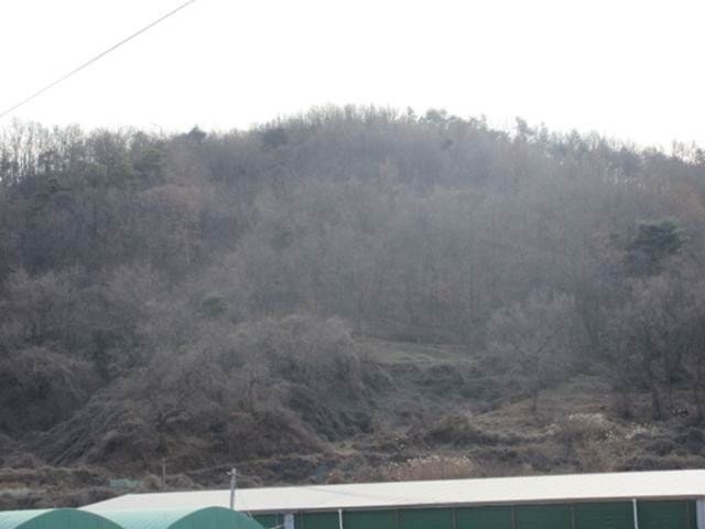 B000314202401300019814.jpg