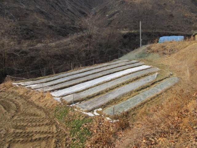 B000314202401300020832.jpg