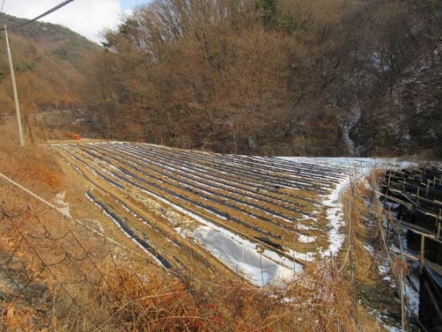 B000314202401300020833.jpg