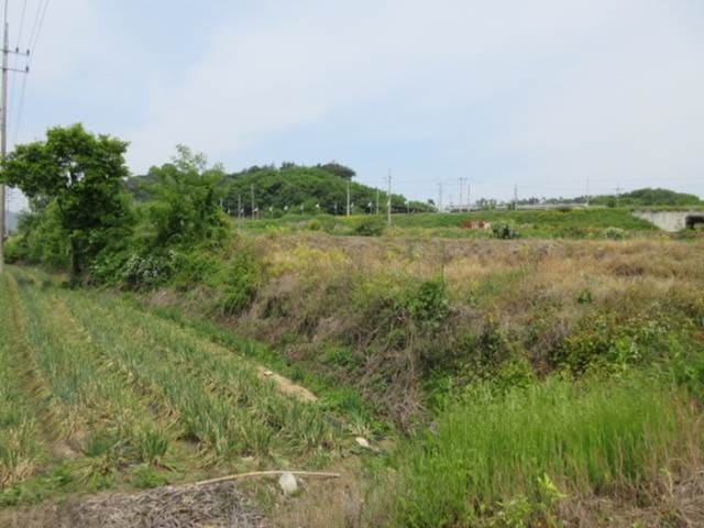 B000314202401300711191.jpg
